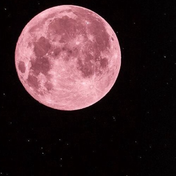 Meet your Posher, Sonia - Picture 1 of 1